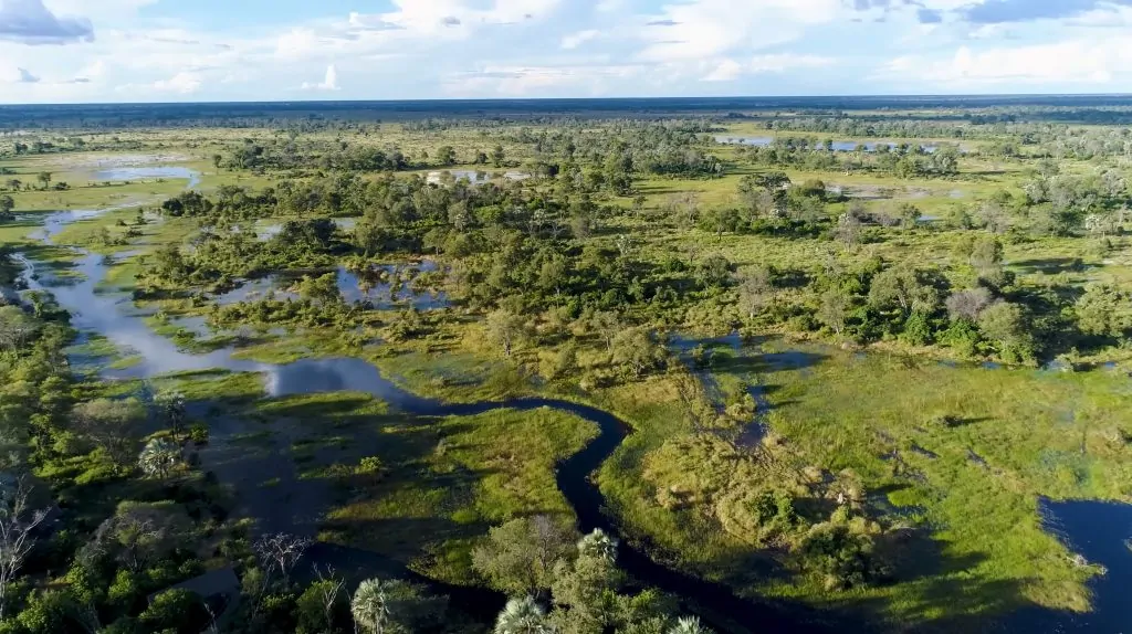 Botswana nature.